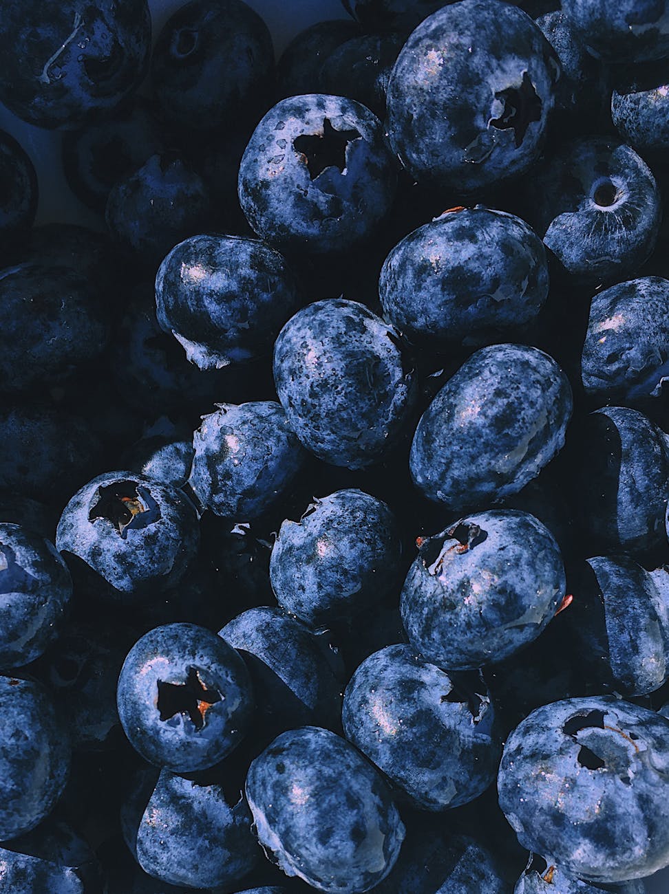 closeup photography blueberry fruits