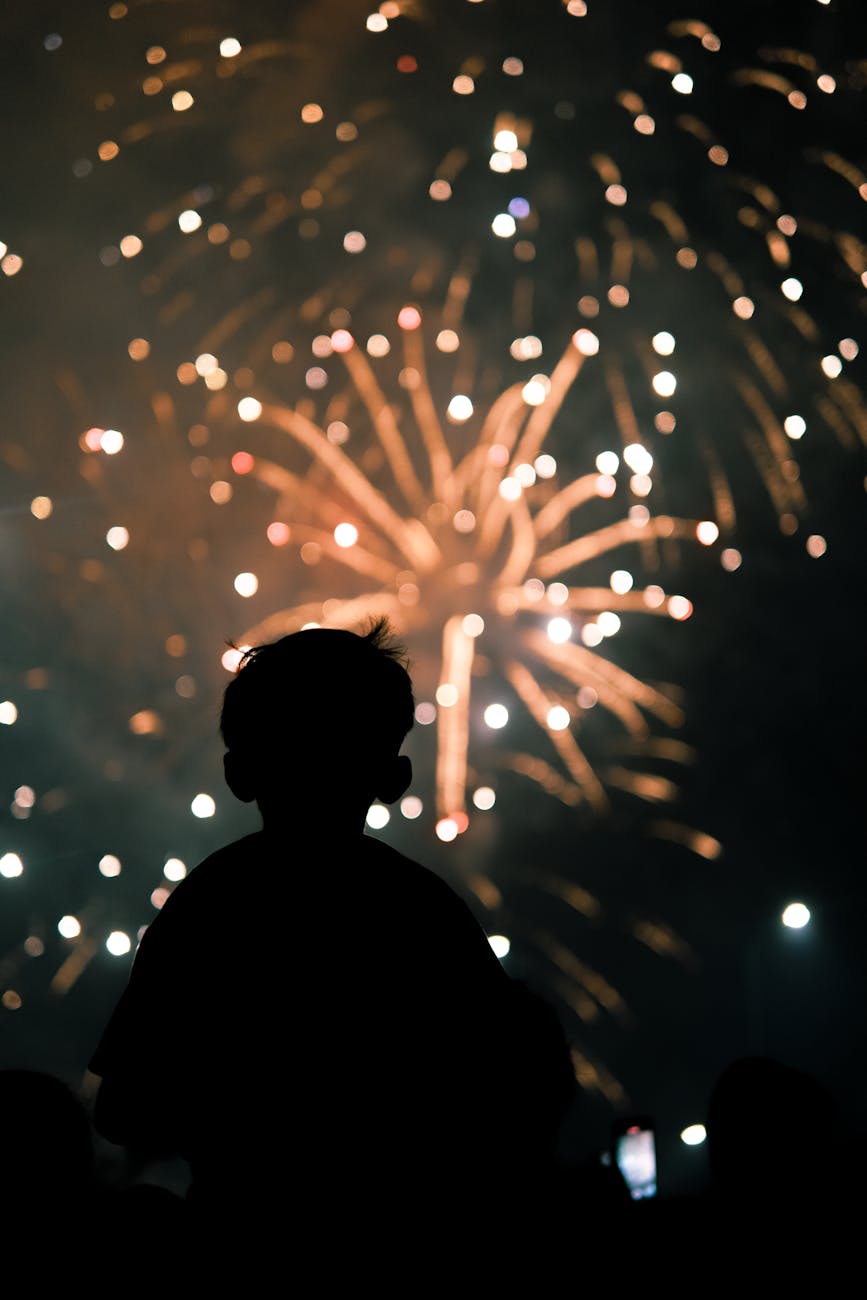 silhouette of child watching fireworks display