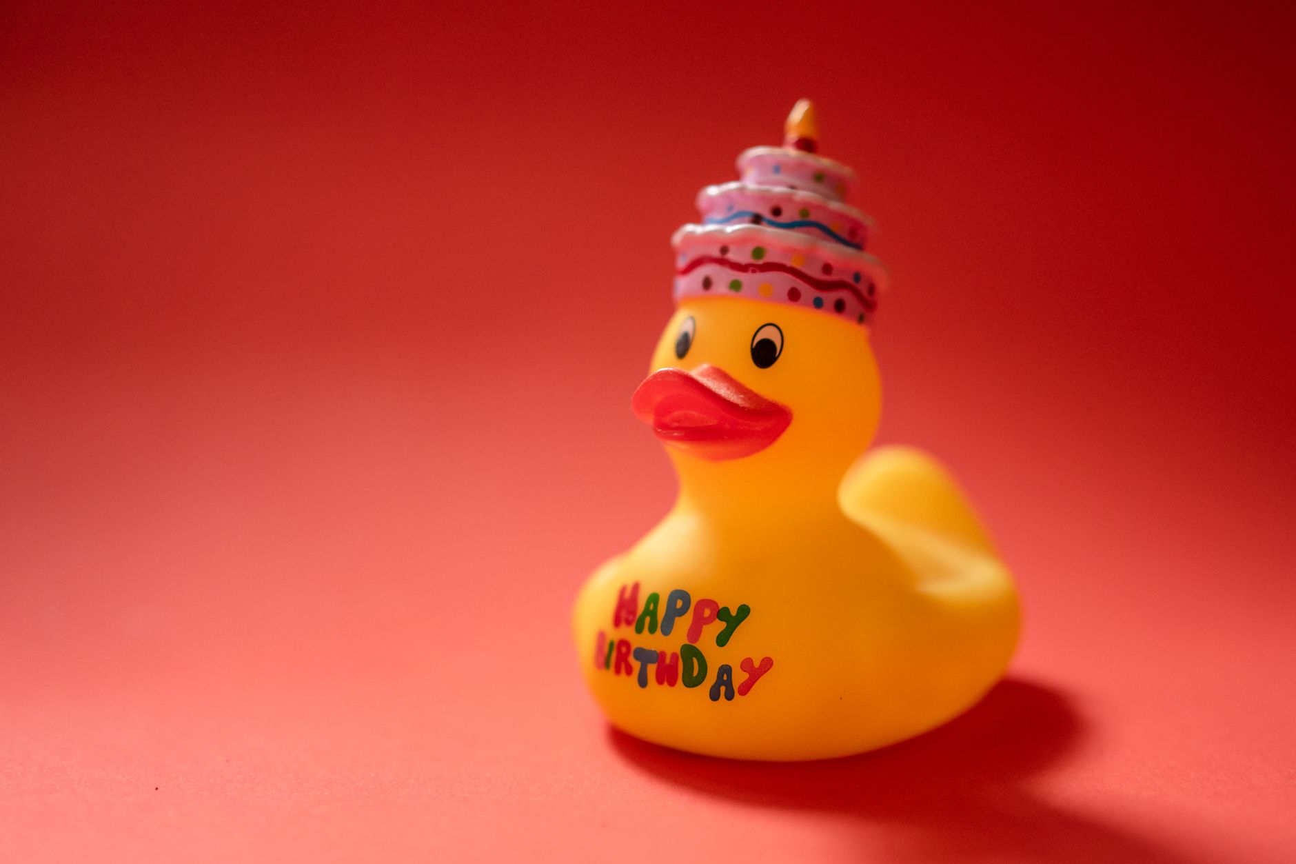 yellow rubber duck on red surface